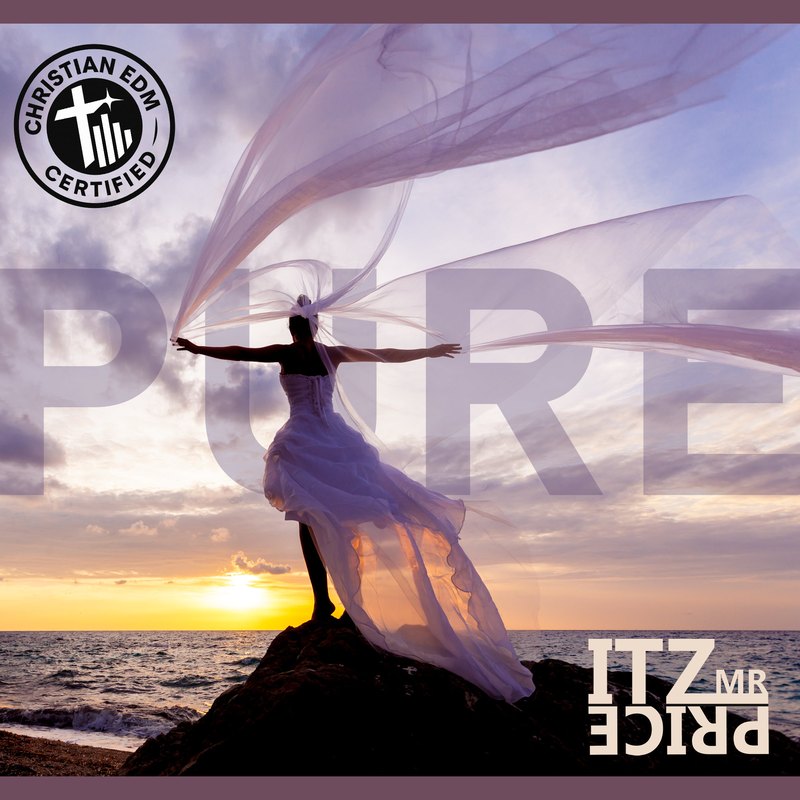 Pure cover art