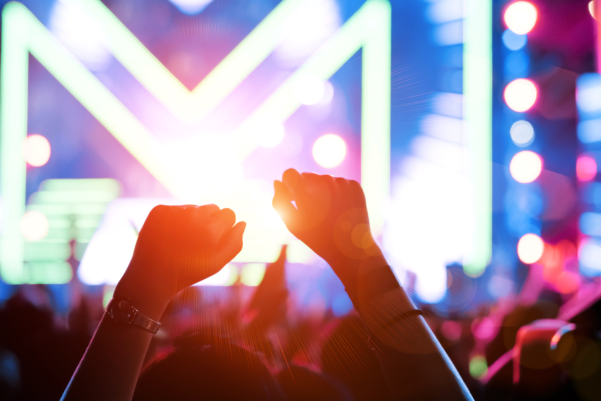 Crowd at a night performance
